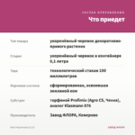 Мята Фруктовая (0,1л) — что приедет
