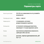 Мята Фруктовая (0,1л) — параметры сорта