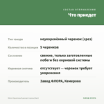 Мята Фруктовый десерт (срезы/5шт) — что приедет