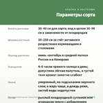 Мята Фруктовый десерт (срезы/5шт) — параметры сорта