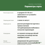 Мята Голубая (0,1л) — параметры сорта