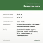 Мята Голубая (0,1л) — параметры сорта