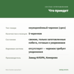 Мята Голубая (срезы/5шт) — что приедет