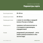 Мята Грейпфрут (0,1л) — параметры сорта