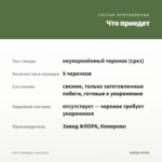 Мята Грейпфрут (срез/5шт) — что приедет