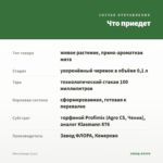 Мята Хилари (0,1л) — что приедет