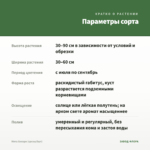 Мята Хилари (срезы/5шт) — параметры сорта