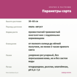 Мята Хвойная (0,1л) — параметры сорта