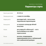 Мята Хвойная (срезы/5шт) — параметры сорта