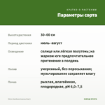 Мята Хвойная (срезы/5шт) — параметры сорта