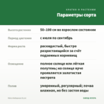 Мята Имбирная (0,1л) — параметры сорта