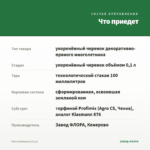 Мята Имбирная (0,1л) — что приедет