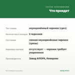 Мята Имбирная (срезы/5шт) — что приедет