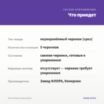 Мята Имбирная (срезы/5шт) — что приедет