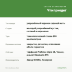 Мята Касабланка (0,1л) — что приедет