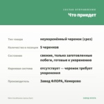 Мята Касабланка (срезы/5шт) — что приедет