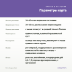 Мята Ландыш (0,1л) — параметры сорта