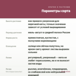 Мята Ландыш (срезы/5шт) — параметры сорта