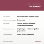 Мята Ландыш (срезы/5шт) — что приедет