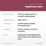 Мята Ландыш (срезы/5шт) — параметры сорта