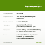 Мята Лавандовая (0,1л) — параметры сорта