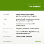 Мята Лавандовая (0,1л) — что приедет