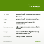 Мята Лавандовая (0,1л) — что приедет