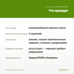 Мята Лавандовая (срезы/5шт) — что приедет