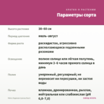 Мята Ледяная (срезы/5шт) — параметры сорта