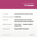 Мята Ледяная (срезы/5шт) — что приедет