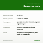 Мята Ледяная (срезы/5шт) — параметры сорта