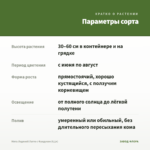 Мята Ледяной Латте с Фундуком (0,1л) — параметры сорта