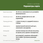 Мята Ледяной Латте с Фундуком (срезы/5шт) — параметры сорта