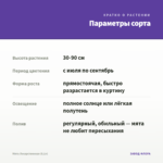 Мята Лекарственная (0,1л) — параметры сорта