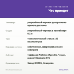 Мята Лекарственная (0,1л) — что приедет
