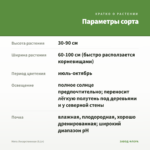Мята Лекарственная (0,1л) — параметры сорта