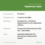 Мята Лекарственная (срезы/5шт) — параметры сорта