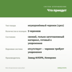 Мята Лекарственная (срезы/5шт) — что приедет