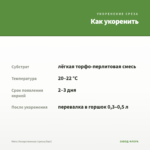 Мята Лекарственная (срезы/5шт) — как укоренить черенок