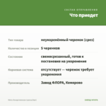 Мята Лекарственная (срезы/5шт) — что приедет