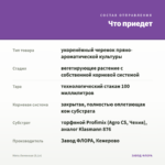 Мята Лимонная (0,1л) — что приедет