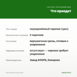 Мята Лимонная (срезы/5шт) — что приедет
