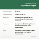 Мята Мандариновая (0,1л) — параметры сорта