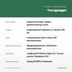 Мята Мандариновая (0,1л) — что приедет