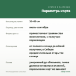 Мята Мандариновая (срезы/5шт) — параметры сорта