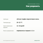 Мята Мандариновая (срезы/5шт) — как укоренить черенок