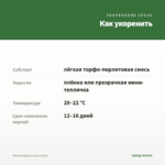 Мята Медовая (срезы/5шт) — как укоренить черенок