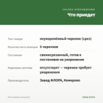 Мята Медовая (срезы/5шт) — что приедет