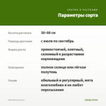 Мята Ментол (0,1л) — параметры сорта