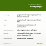 Мята Ментол (0,1л) — что приедет